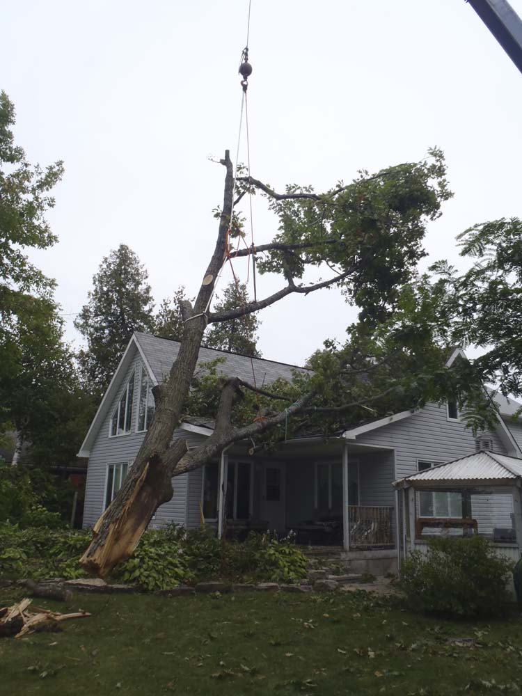Storm Cleanup & Damage project